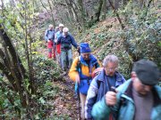 Escursionisti in cammino
nella Valle del Treja, tra
cui diversi Direttori di Gita
(10502 bytes)